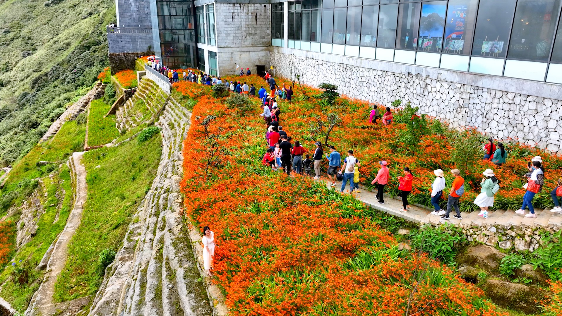 Du khách thích thú với “ruộng bậc thang” màu đỏ cam trên đỉnh Fansipan