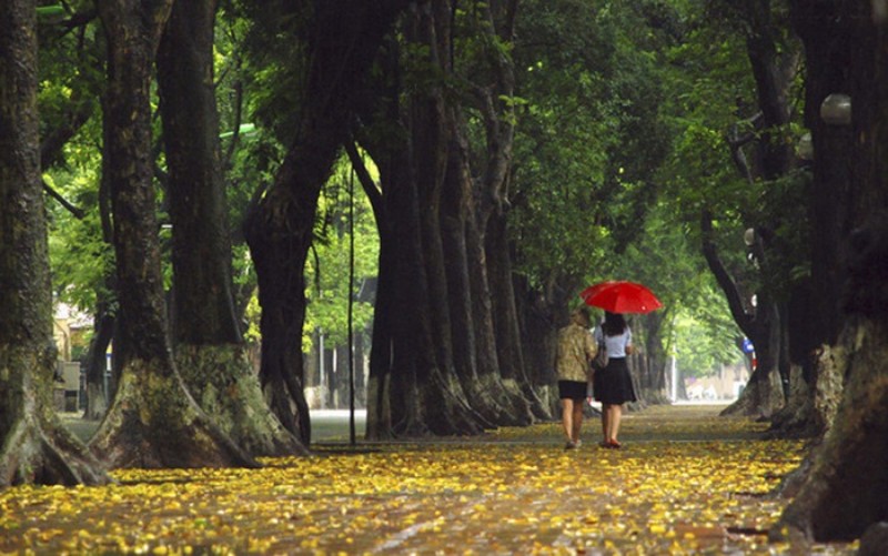 Dự báo thời tiết ngày 19/8/2023: Hà Nội nhiều mây, mưa to ngày cuối tuần