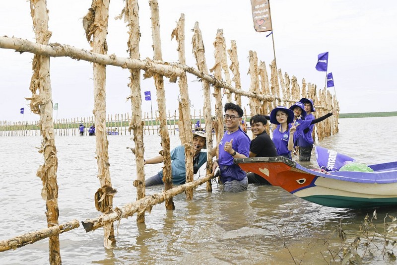 Vinamilk triển khai Dự án tái sinh 25 hecta rừng ngập mặn tại Cà Mau với sự tham gia của nhân viên công ty