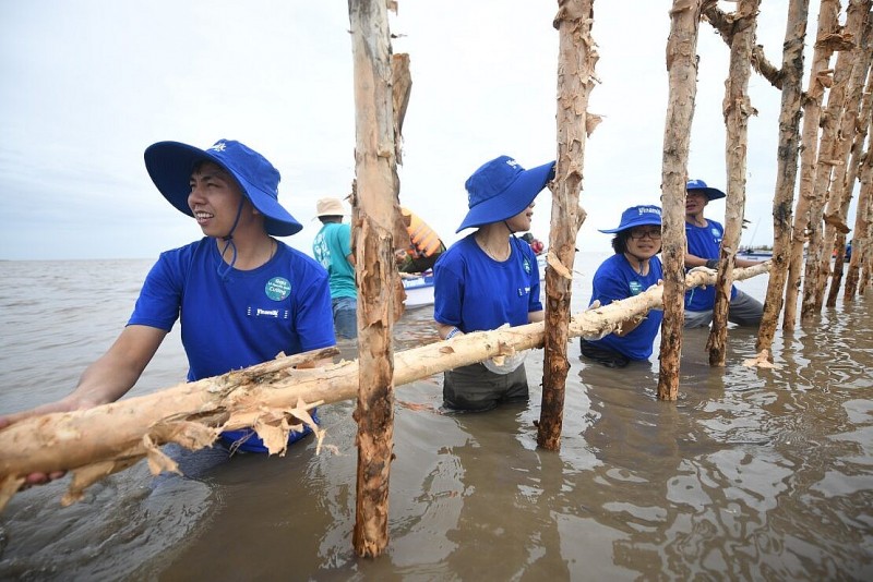 Vinamilk triển khai Dự án tái sinh 25 hecta rừng ngập mặn tại Cà Mau với sự tham gia của nhân viên công ty