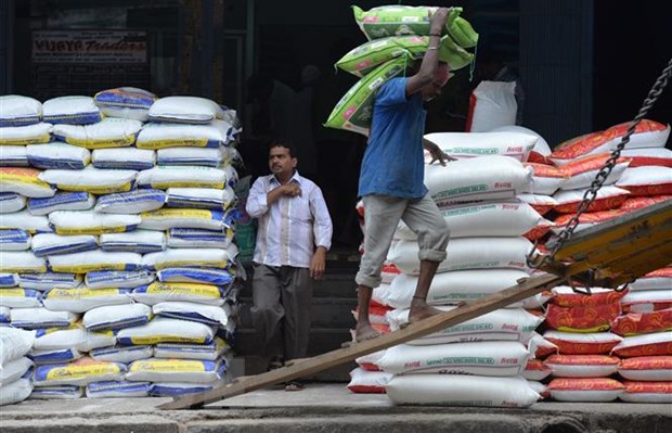 Giá gạo xuất khẩu Việt Nam vẫn giữ vững vị trí cao nhất thế giới