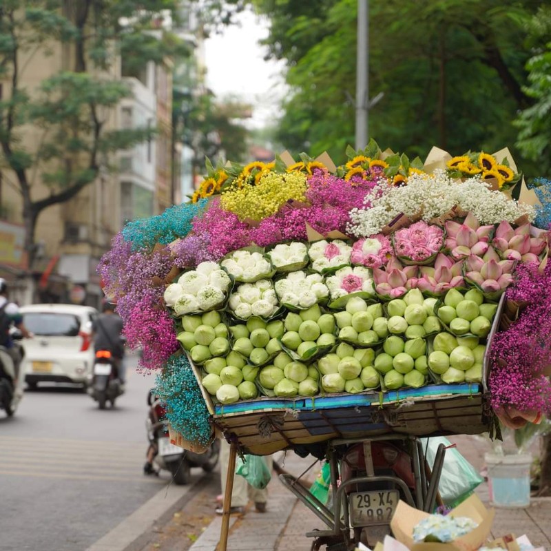 Dự báo thời tiết ngày 31/8/2023: Hà Nội gió đông bắc cấp 2-3, trời hanh khô