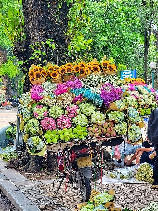 Loạt đặc sản Hà Nội mùa thu làm khách du lịch khó bỏ qua