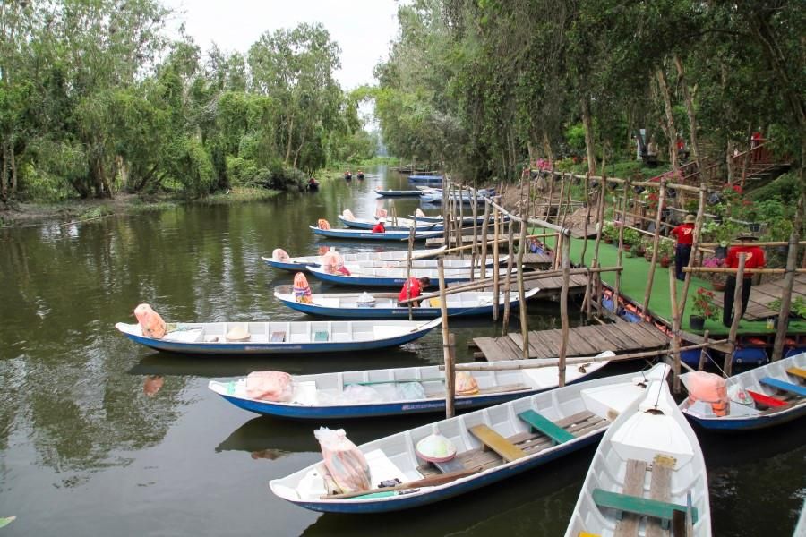 Khám phá rừng tràm Trà Sư thời điểm đẹp nhất trong năm