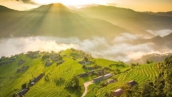 Đồng Lâm mùa nước nổi đẹp như tranh, điểm đến dã ngoại lý tưởng gần Hà Nội