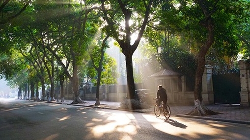 Dự báo thời tiết đêm nay và ngày mai 3/8: Hà Nội và các khu vực trên cả nước