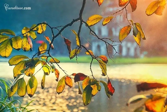 Cảm xúc tháng Tám