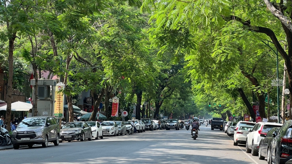 Dự báo thời tiết đêm nay và ngày mai 12/8: Hà Nội và các khu vực trên cả nước