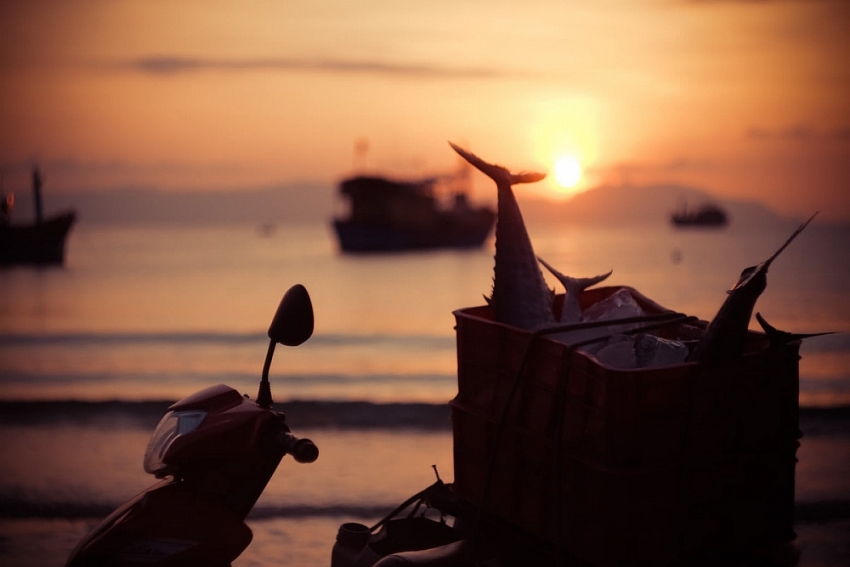 Làng chài Ninh Thủy có gì khiến du khách mê mẩn?