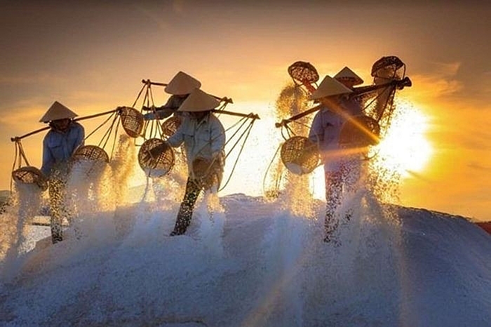 Về Sa Huỳnh hòa mình trải nghiệm nông dân trên cánh đồng muối