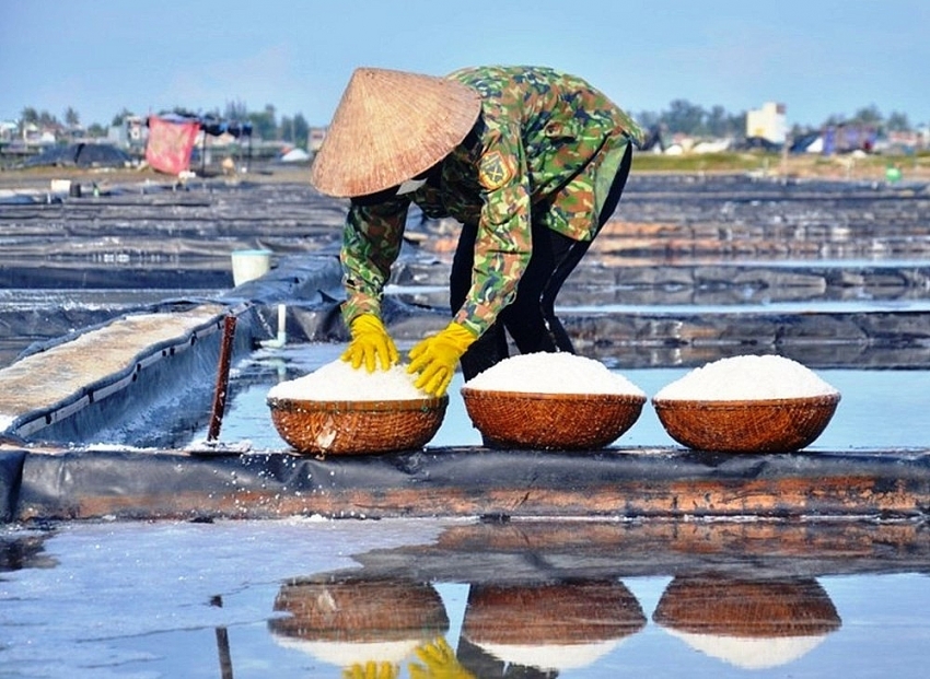 Về Sa Huỳnh hòa mình trải nghiệm nông dân trên cánh đồng muối