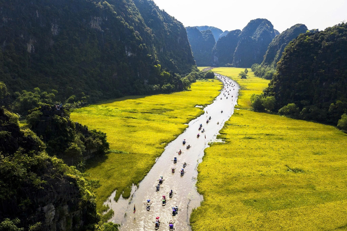 Khám phá những cánh đồng lúa chín đẹp như tranh cho kỳ nghỉ Quốc khánh 2/9