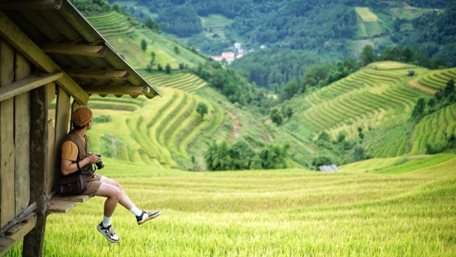 Khám phá những cánh đồng lúa chín đẹp như tranh cho kỳ nghỉ Quốc khánh 2/9