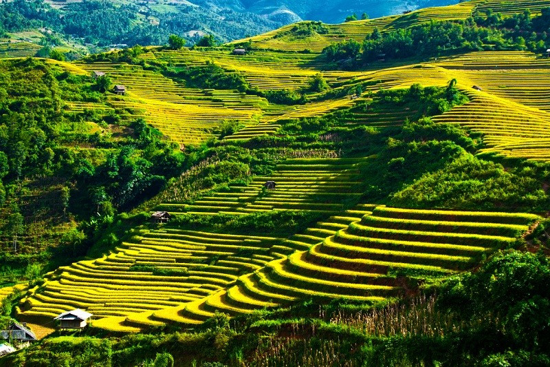 Du lịch mùa thu gợi ý ba địa điểm không thể bỏ lỡ