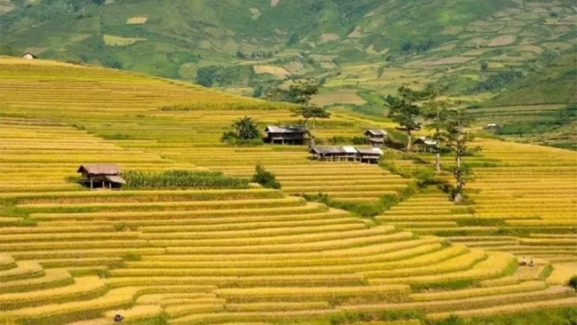 Đến Tú Lệ để tìm về chốn bình yên