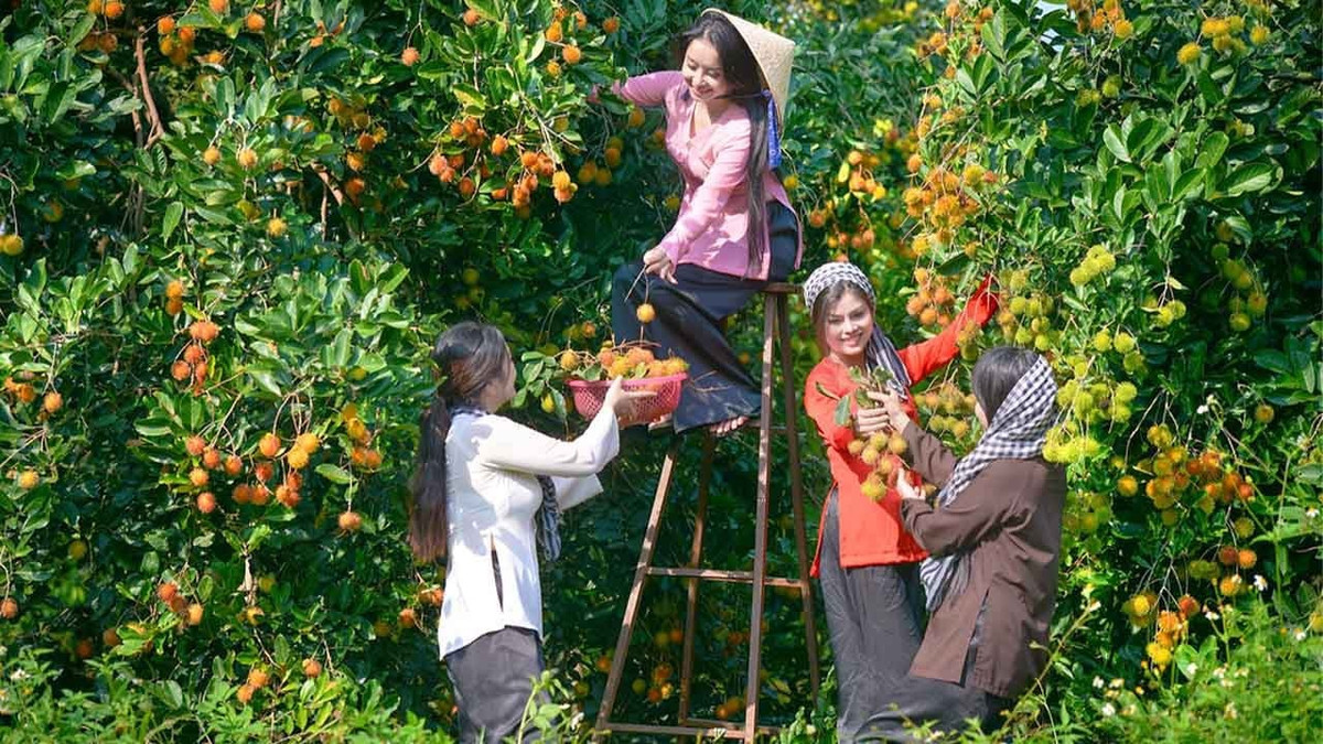 6 điểm đến sông nước miền Tây khiến du khách mê mẩn mùa nước nổi
