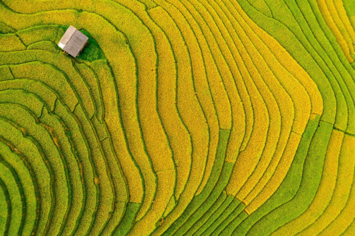 Du lịch Sa Pa dịp lễ 2/9, chọn tour nào "vui, rẻ, chất"?