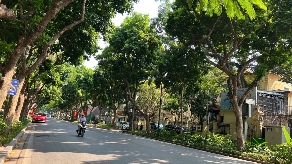 Dự báo thời tiết đêm nay và ngày mai 29/8: Hà Nội và các khu vực trên cả nước