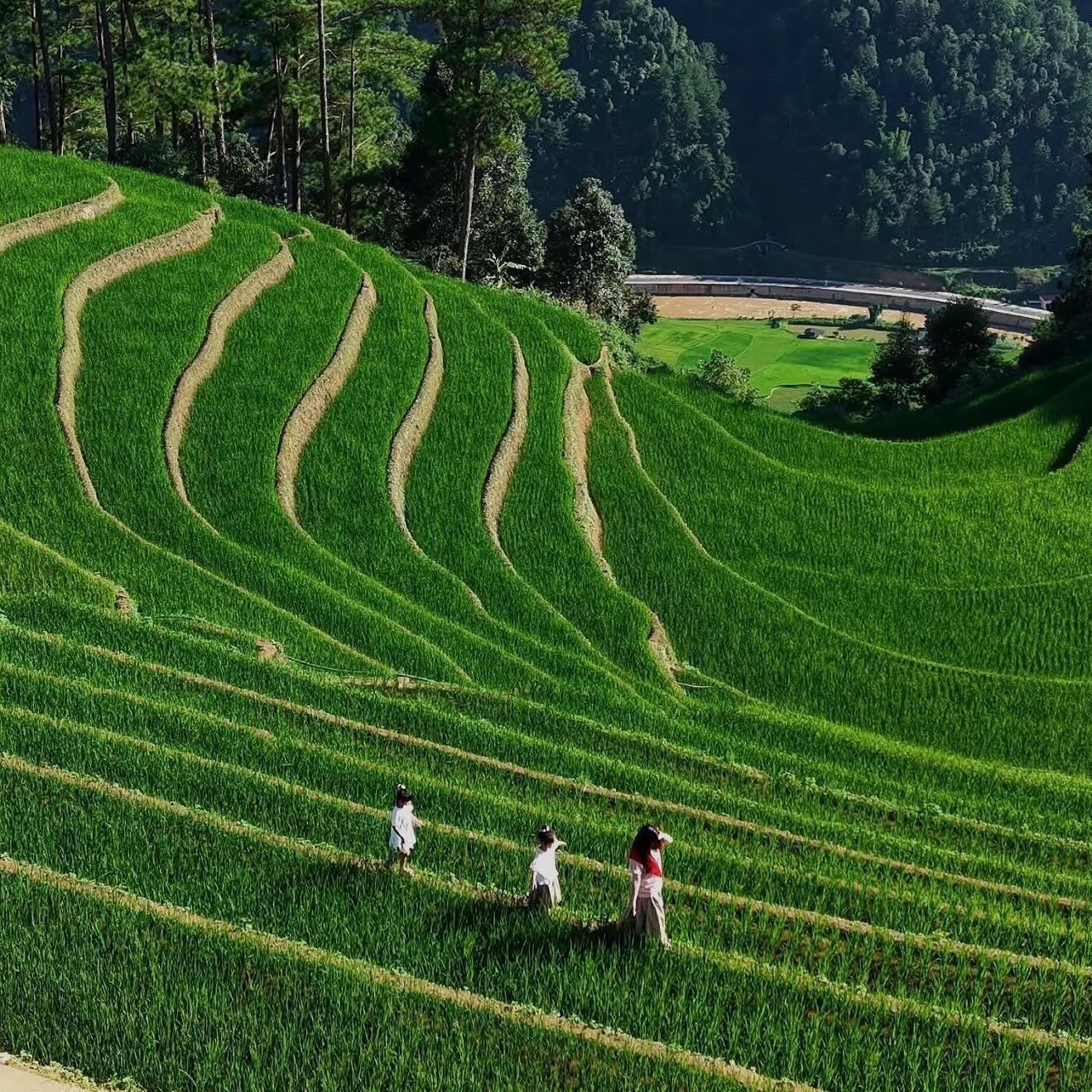 5 điểm đến “gọi tên mùa thu” đẹp nhất Việt Nam