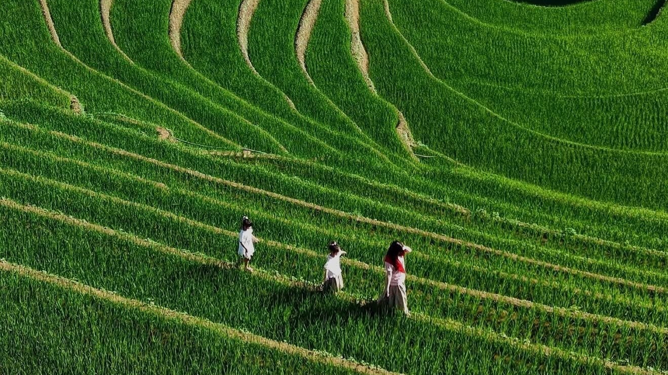 5 điểm đến “gọi tên mùa thu” đẹp nhất Việt Nam
