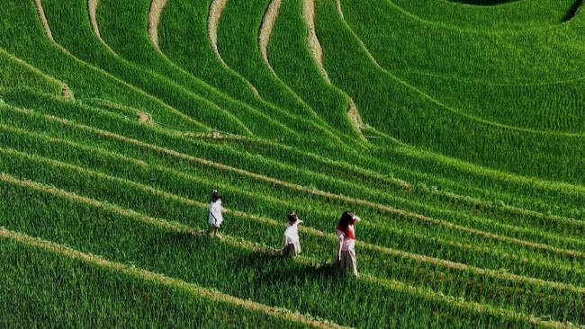 5 điểm đến “gọi tên mùa thu” đẹp nhất Việt Nam
