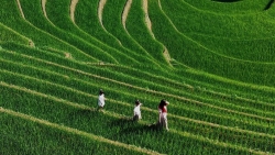 5 điểm đến “gọi tên mùa thu” đẹp nhất Việt Nam