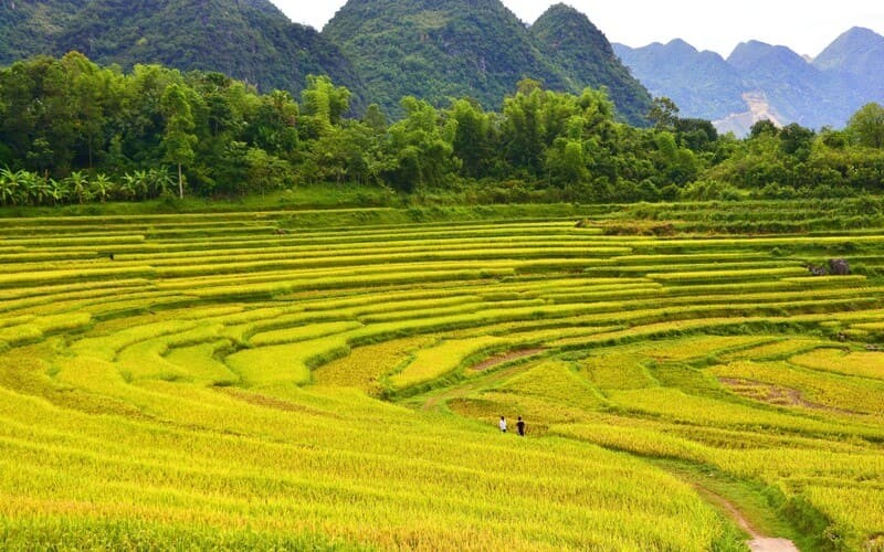 5 điểm đến “gọi tên mùa thu” đẹp nhất Việt Nam