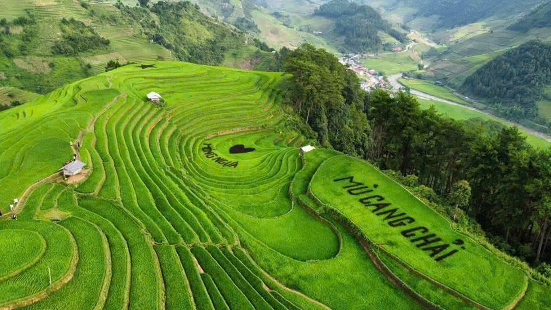 Những điểm đến lý tưởng để săn mây, ngắm lúa chín ở Tây Bắc