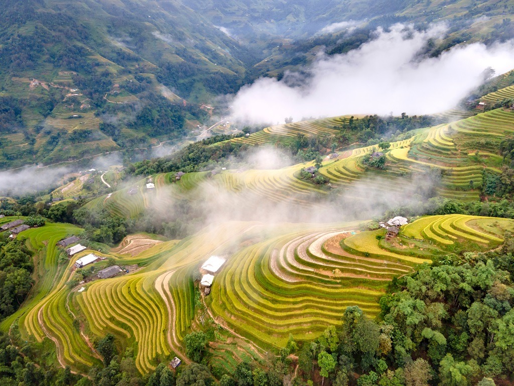 Những điểm đến lý tưởng để săn mây, ngắm lúa chín ở Tây Bắc