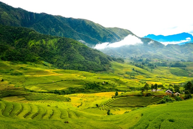 Những điểm đến lý tưởng để săn mây, ngắm lúa chín ở Tây Bắc