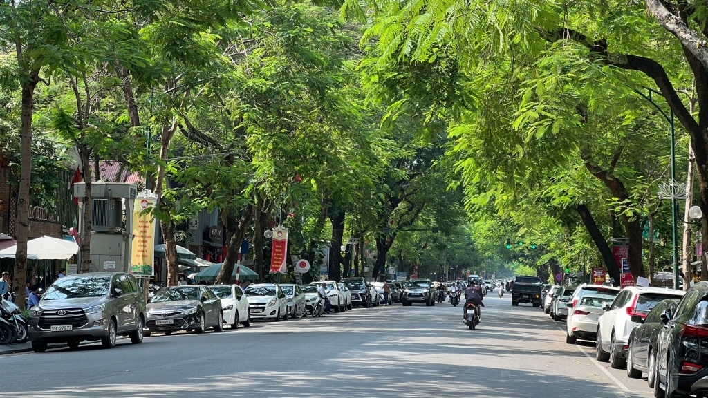 Dự báo thời tiết ngày 10/8: Hà Nội và các khu vực trên cả nước