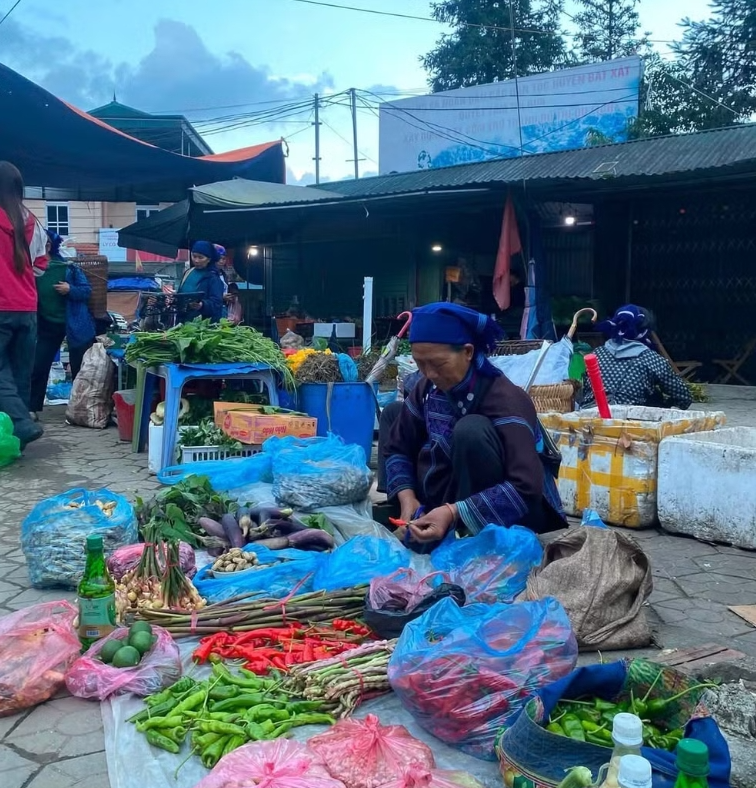 “Y Tý-Sức hút đại ngàn” “Y Tý-Sức hút đại ngàn”