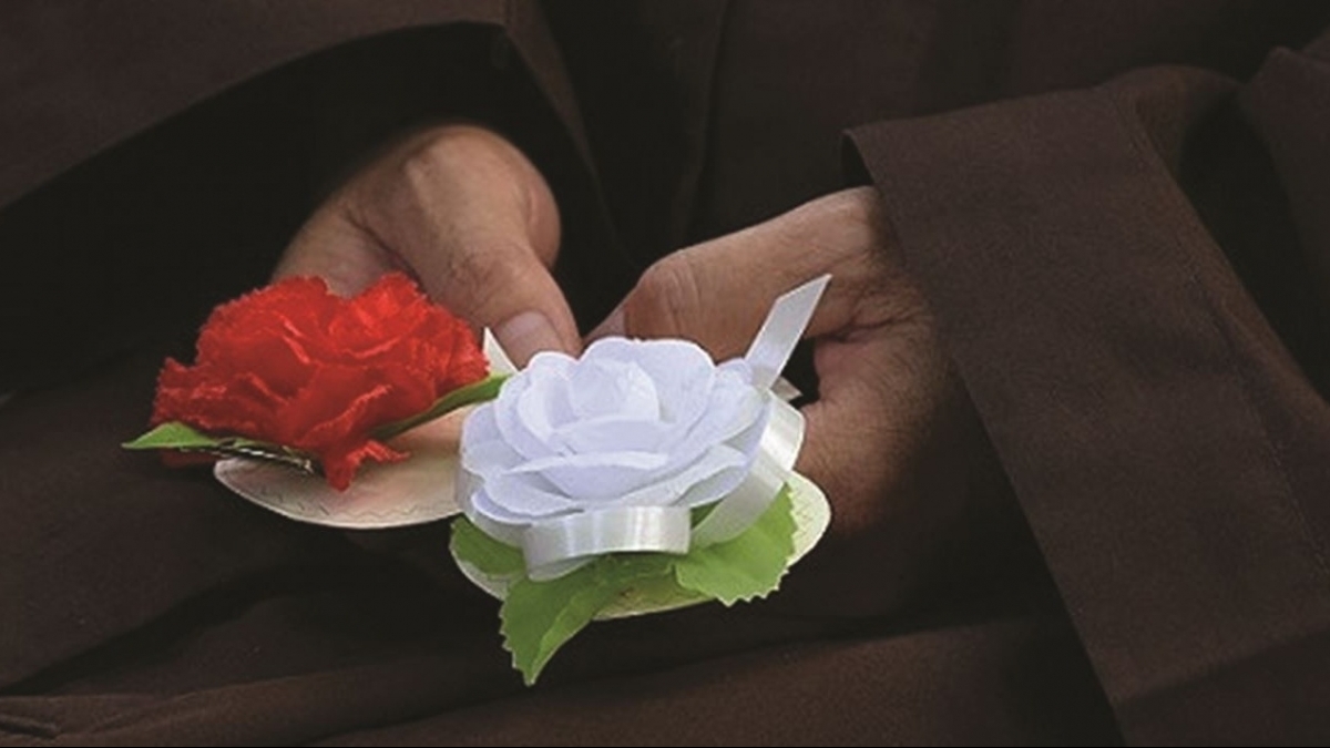 Bông hồng mùa Vu Lan