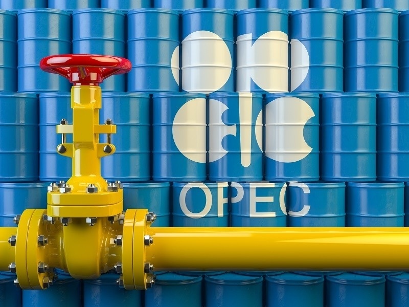 Venezuela cân nhắc bước đi chiến lược, OPEC có tan rã?
