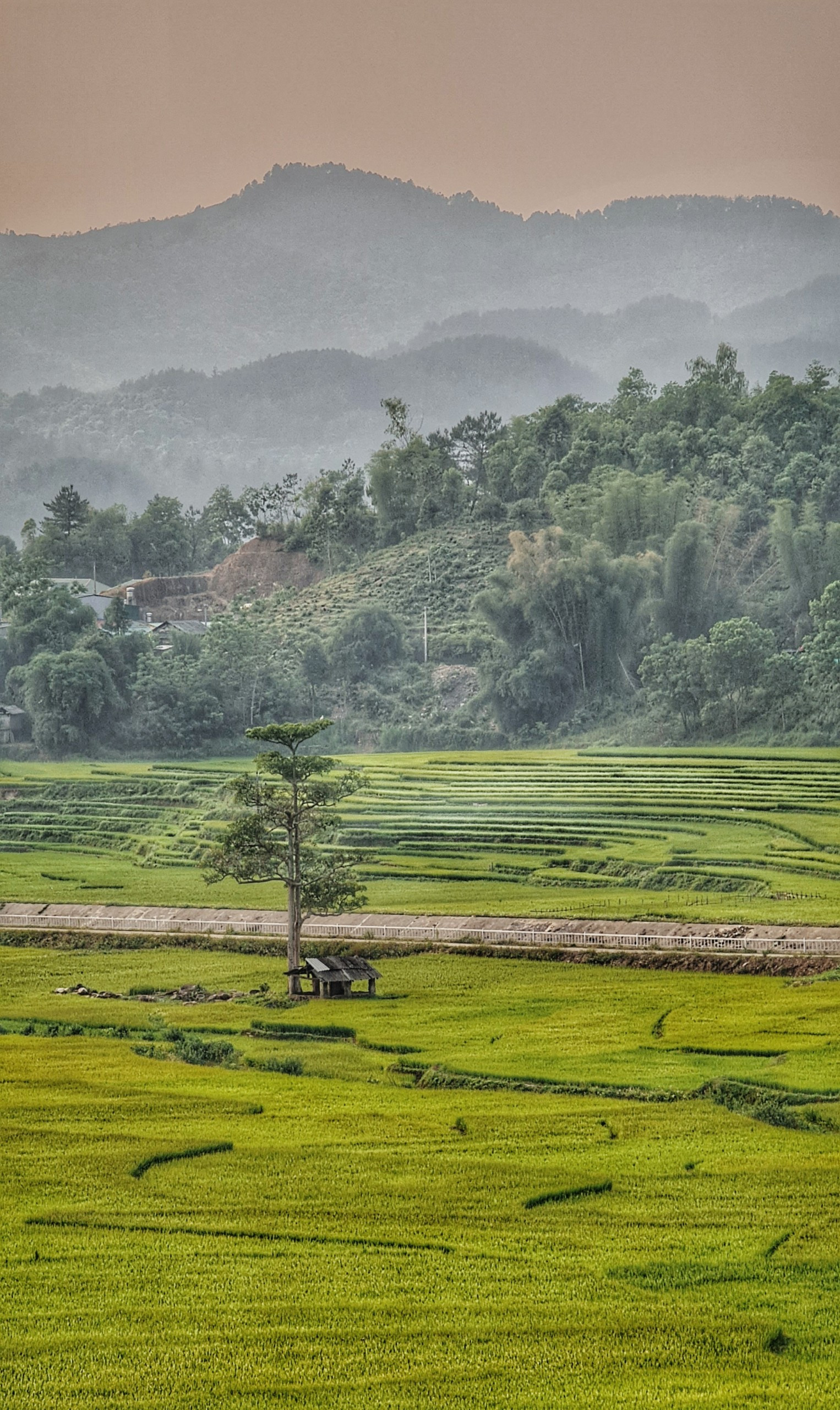 Tây Bắc đẹp mê hoặc độ sang thu