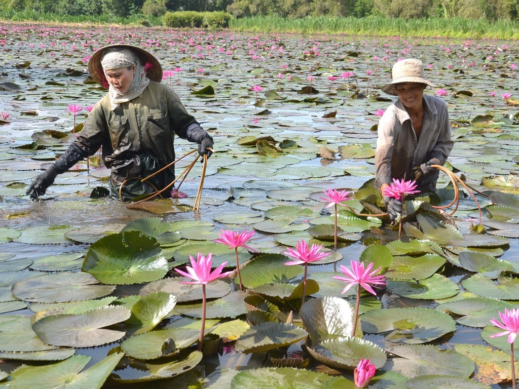 Những sản vật dân dã gợi nhớ mùa nước nổi miền Tây Những sản vật dân dã gợi nhớ mùa nước nổi miền Tây