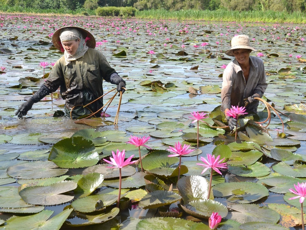 Những sản vật dân dã gợi nhớ mùa nước nổi miền Tây