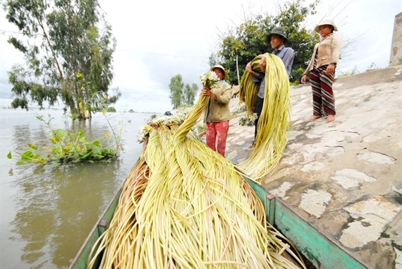 Những sản vật dân dã gợi nhớ mùa nước nổi miền Tây Những sản vật dân dã gợi nhớ mùa nước nổi miền Tây