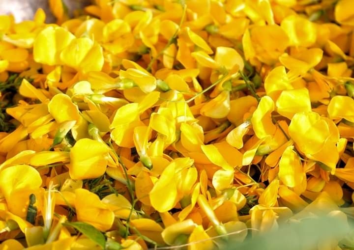 Những sản vật dân dã gợi nhớ mùa nước nổi miền Tây Những sản vật dân dã gợi nhớ mùa nước nổi miền Tây