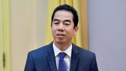 Thứ trưởng Ngoại giao Tô Anh Dũng và ông Nguyễn Quang Linh bị khai trừ Đảng