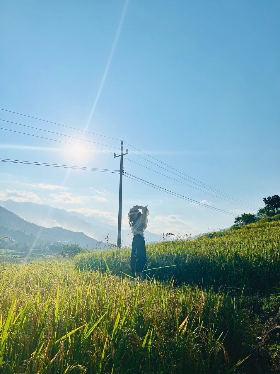 Bản làng Sa Pa mùa lúa chín đẹp say đắm lòng người