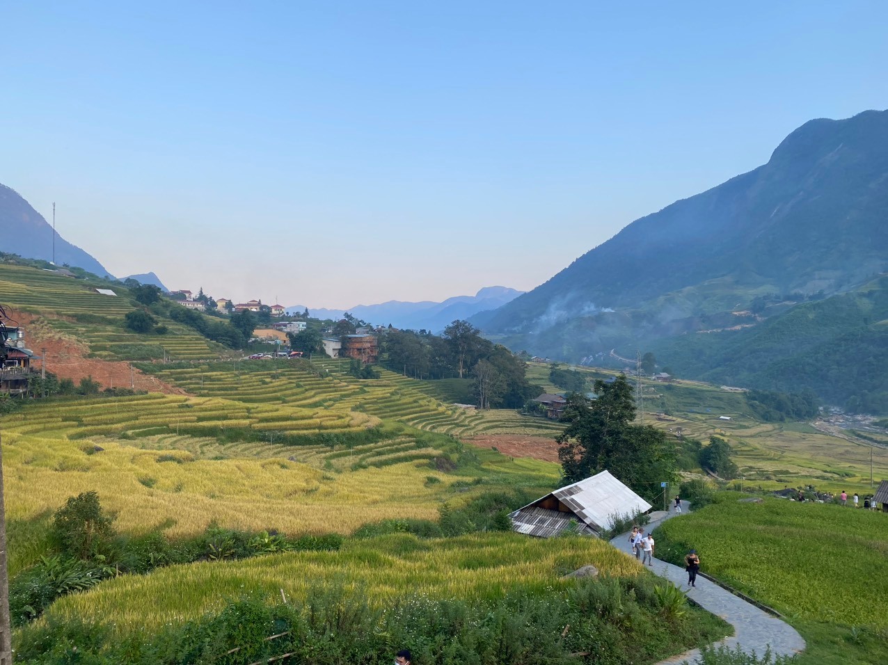 Bản làng Sa Pa mùa lúa chín đẹp say đắm lòng người