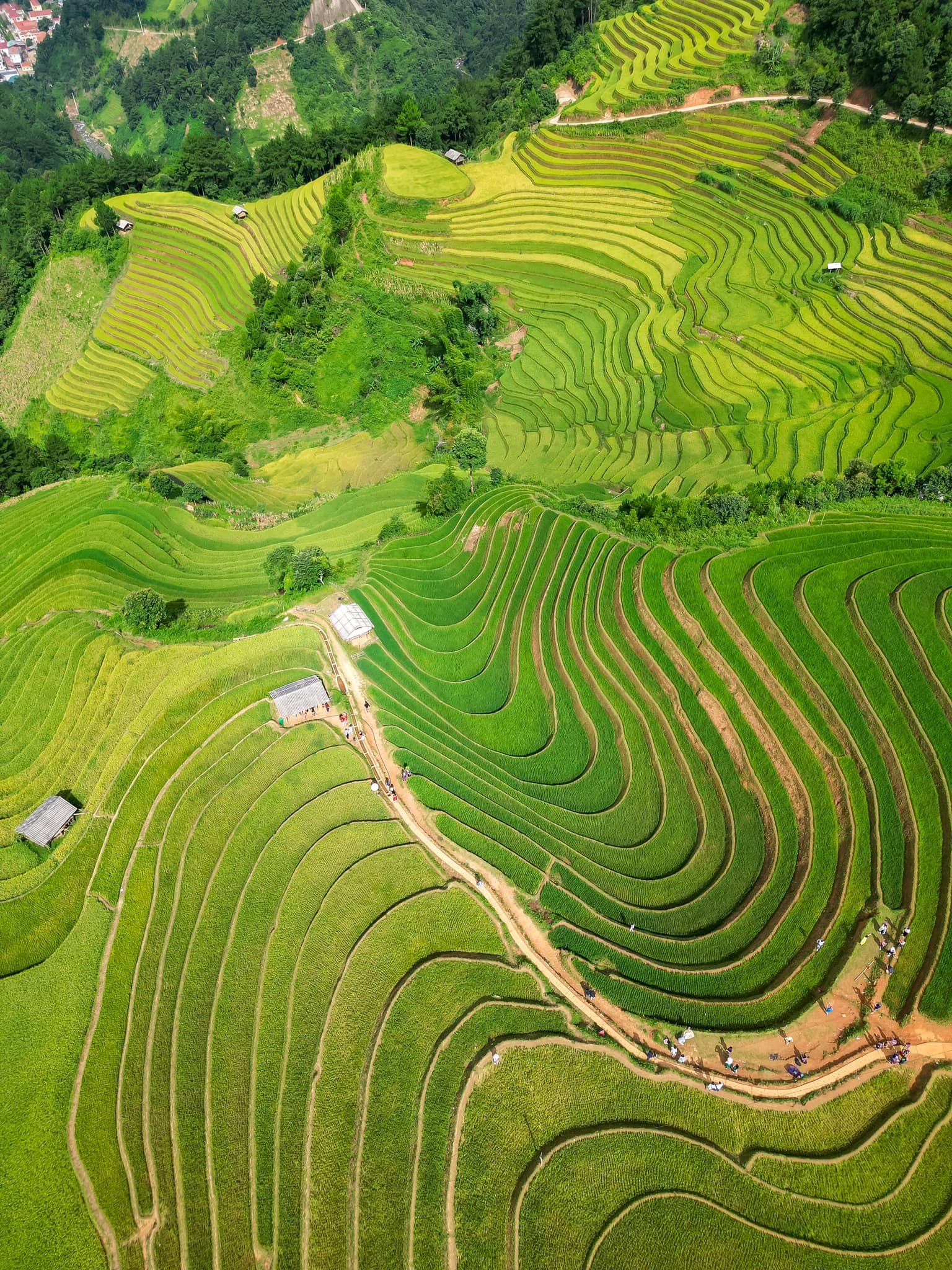 Bức tranh thiên nhiên trên ruộng bậc thang Mù Cang Chải Bức tranh thiên nhiên trên ruộng bậc thang Mù Cang Chải