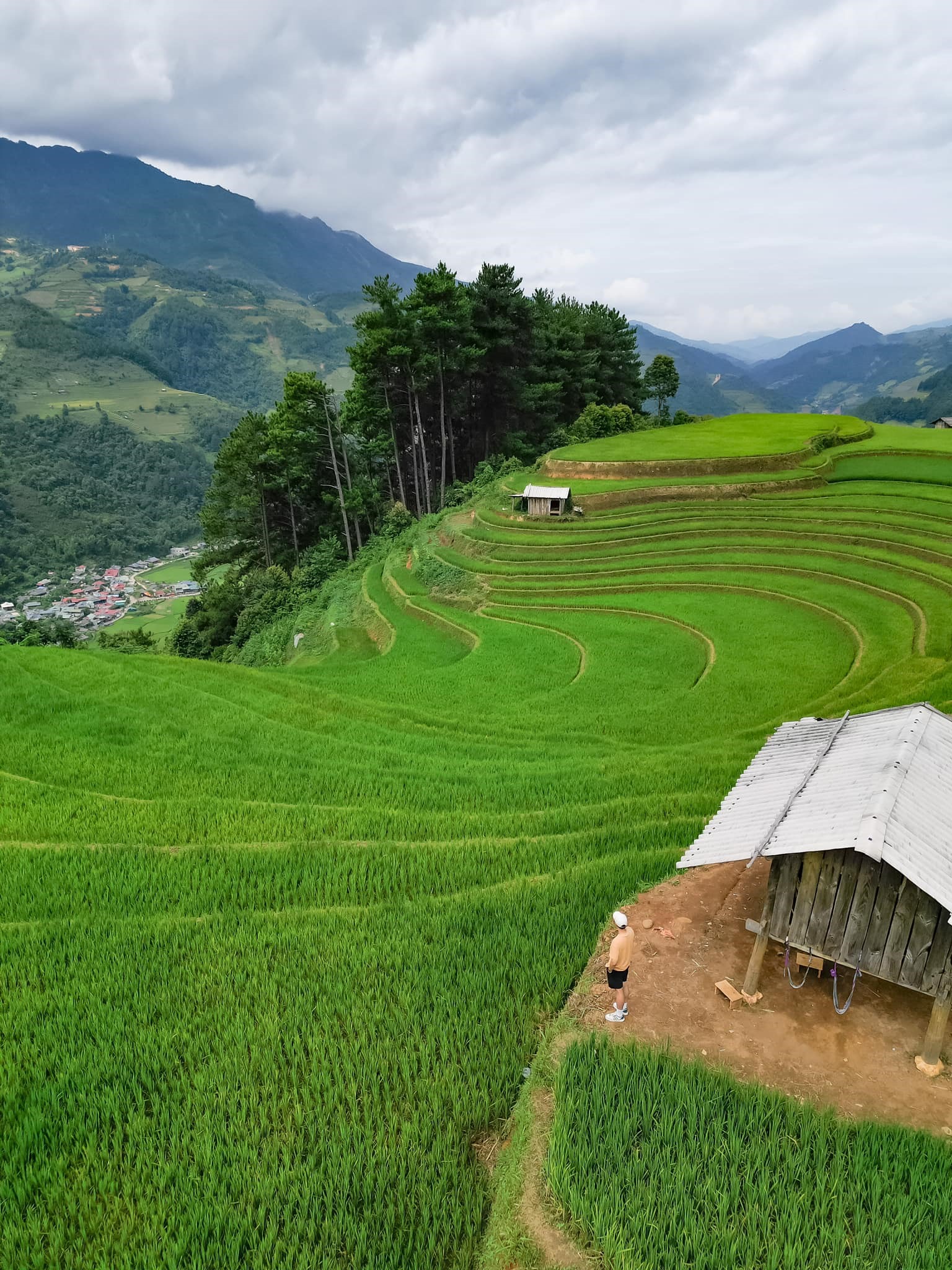 Bức tranh thiên nhiên trên ruộng bậc thang Mù Cang Chải Bức tranh thiên nhiên trên ruộng bậc thang Mù Cang Chải