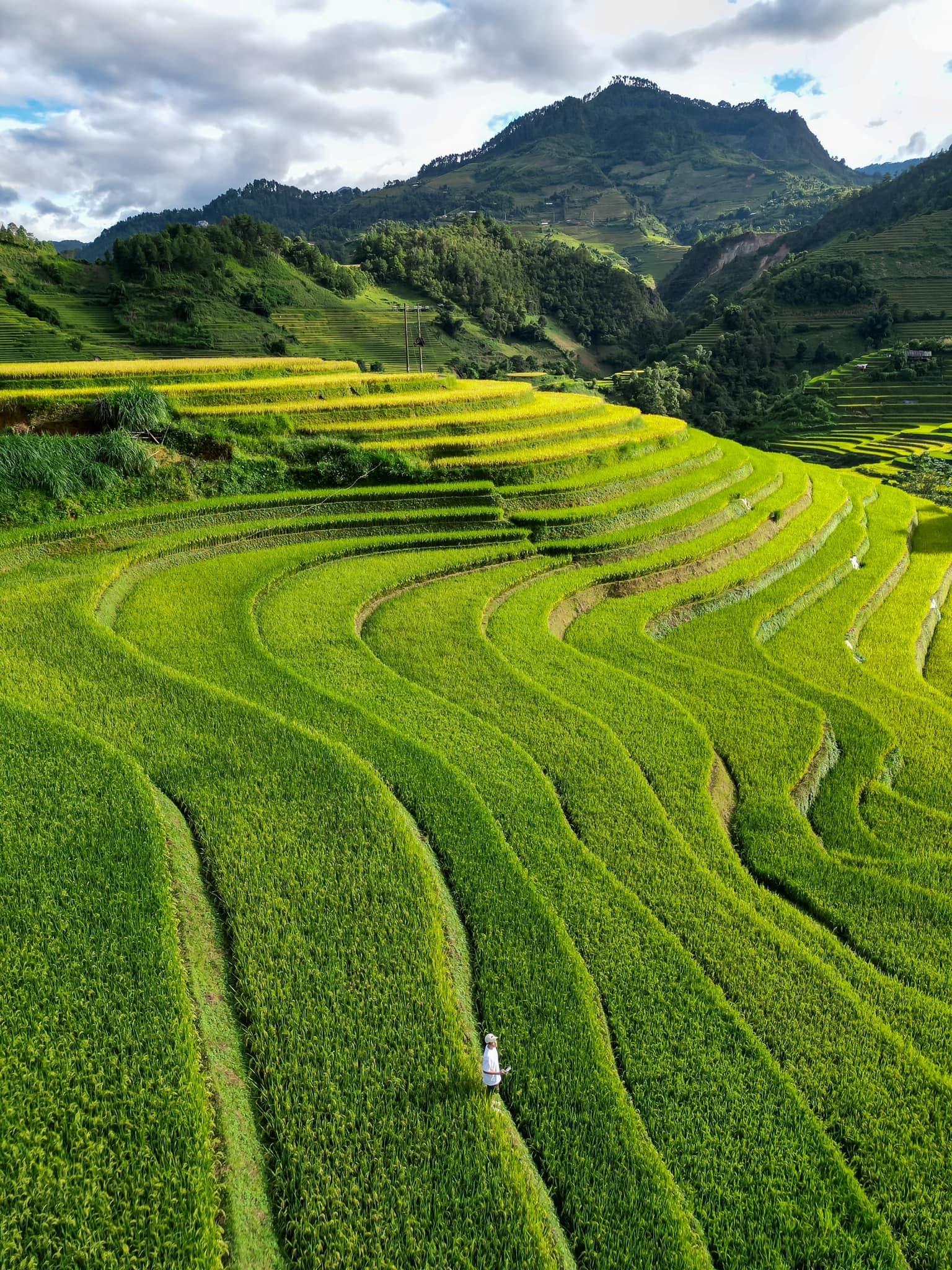 Bức tranh thiên nhiên trên ruộng bậc thang Mù Cang Chải Bức tranh thiên nhiên trên ruộng bậc thang Mù Cang Chải