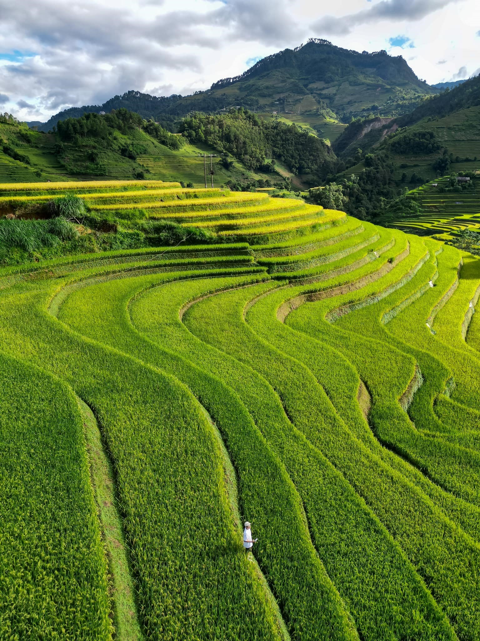 Bức tranh thiên nhiên trên ruộng bậc thang Mù Cang Chải