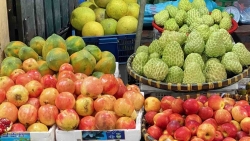 Giá hoa quả tăng mạnh dịp Tết Trung thu