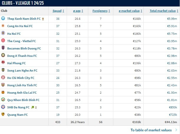 Giá trị đội hình các CLB dự V-League 2024/25: Nhiều bất ngờ
