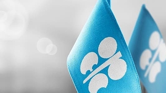 OPEC+ trì hoãn tăng nguồn cung khi giá dầu lao dốc