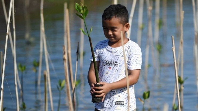 Indonesia bán tín chỉ carbon lập quỹ xanh trị giá 65 tỷ USD